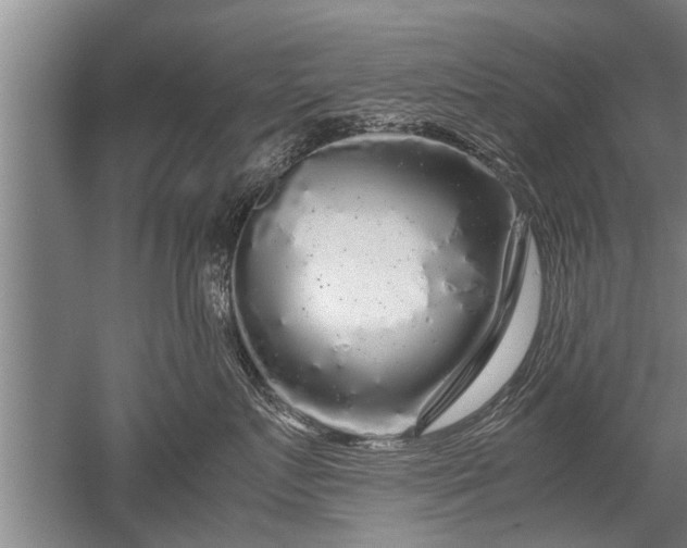 X0000052650719200507082032