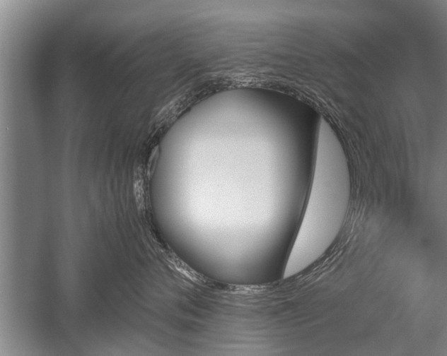 X0000052650720200507082032
