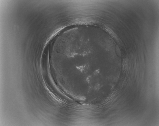 X0000052650722200507082031