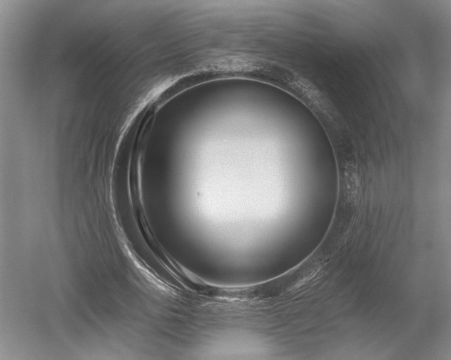 X0000052650726200507082031