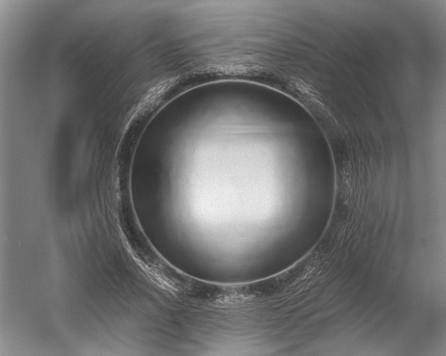 X0000052650734200507082031