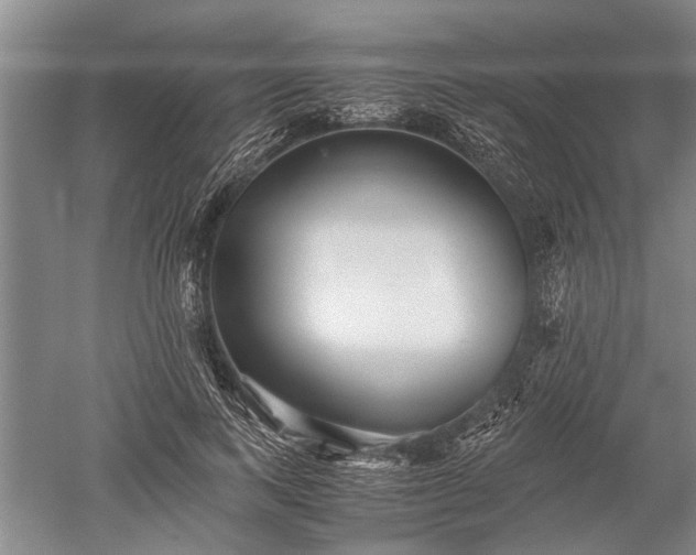 X0000052650743200507082031