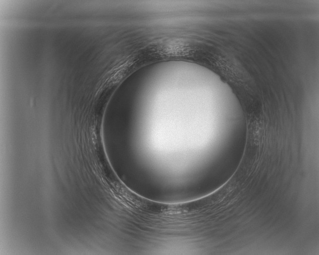X0000052650746200507082031