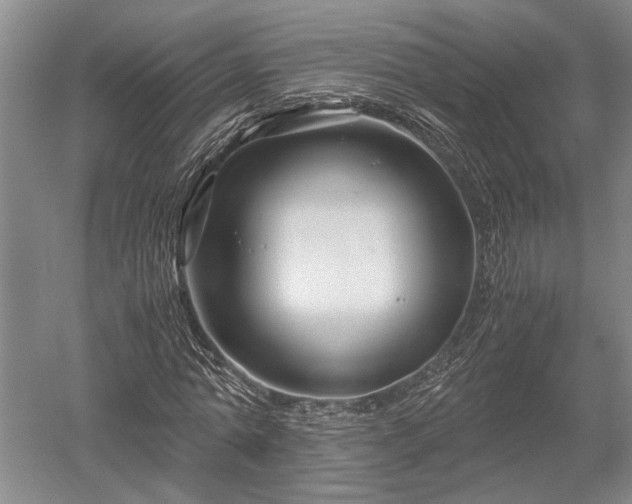 X0000052650774200507082031