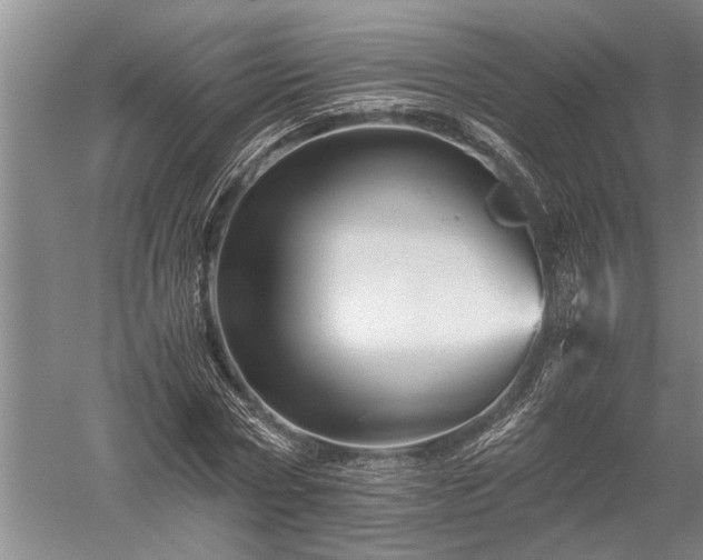 X0000052650778200507082031