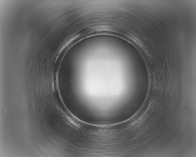 X0000052650782200507082030