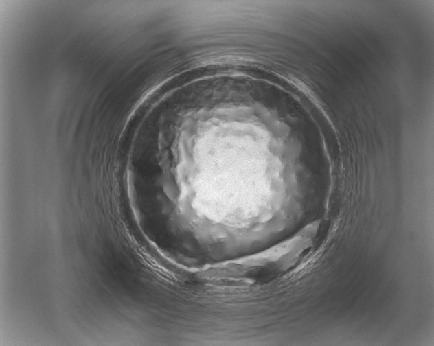 X0000052650783200507082030