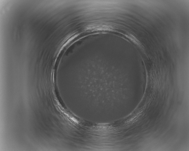 X0000052650790200507082030