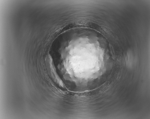 X0000052650817200507082029