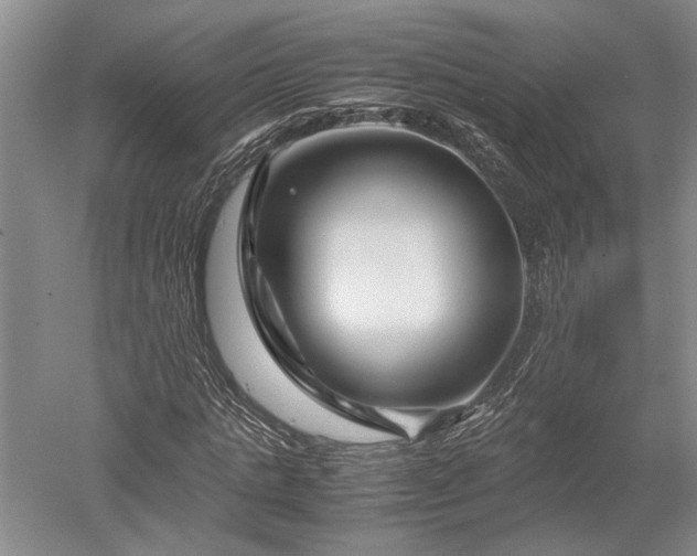 X0000052650821200507082029