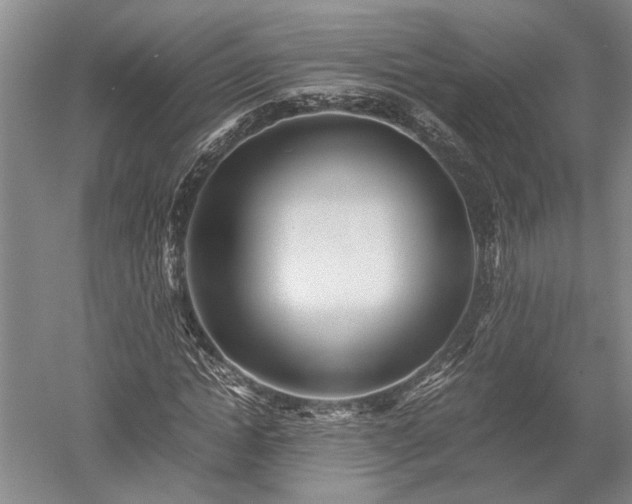 X0000052650822200507082029