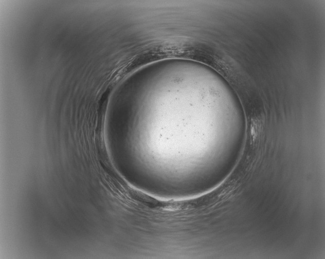 X0000052650867200507082029