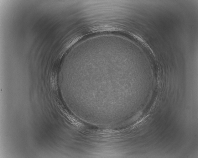 X0000052650873200507082029