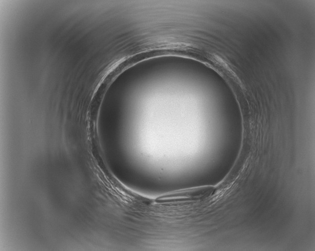 X0000052650875200507082029