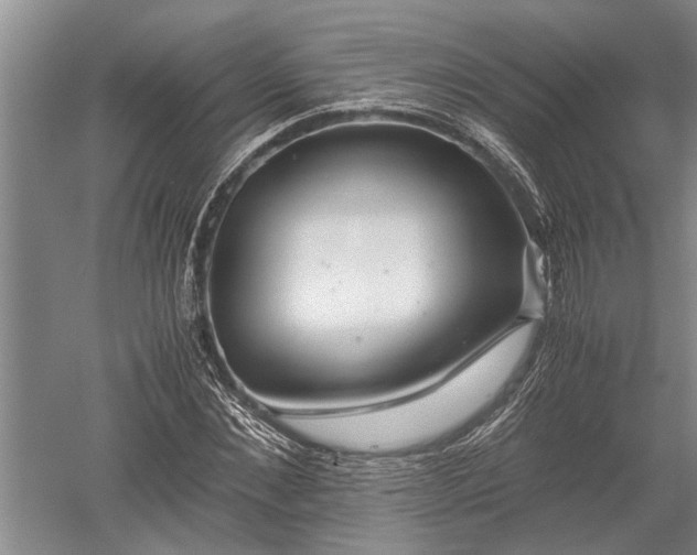 X0000052650876200507082029