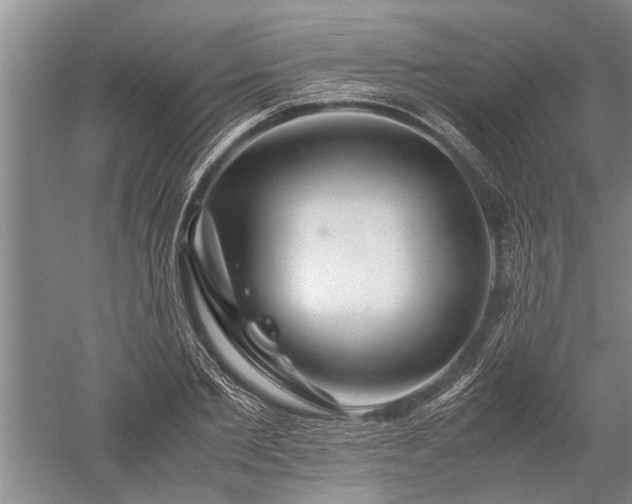 X0000052650885200507082029