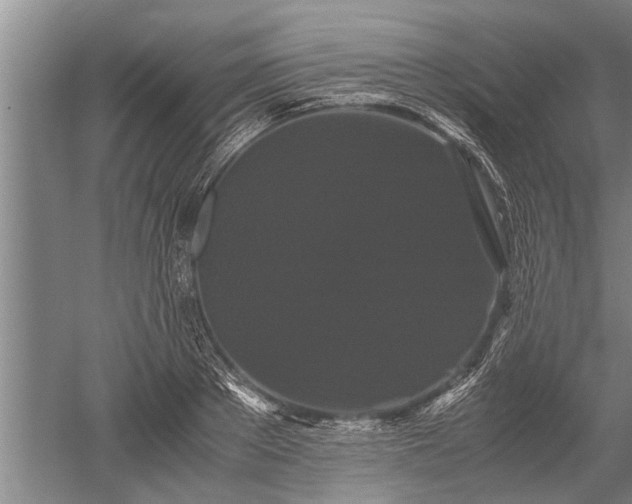 X0000052650889200507082029
