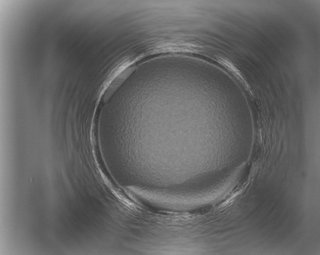 X0000052650893200507082029