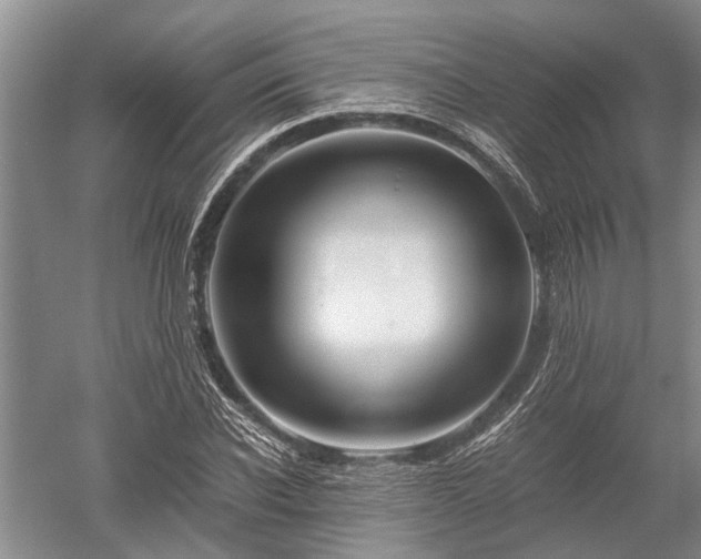 X0000052650926200507082028
