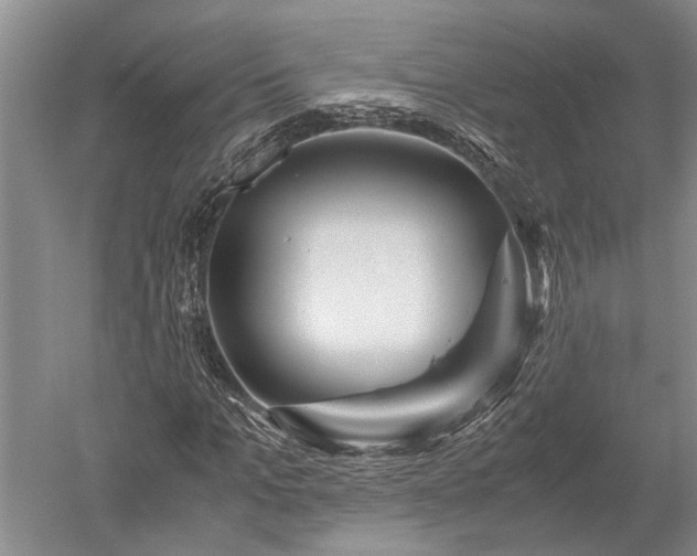 X0000052650965200507082027