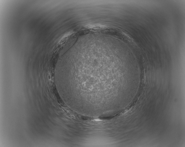 X0000052650966200507082027