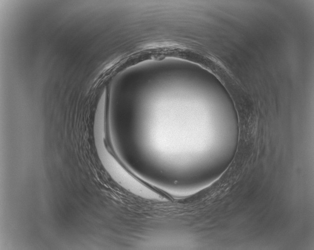 X0000052650967200507082027