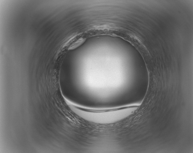 X0000052650968200507082027