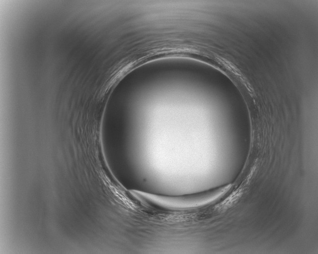 X0000052650985200507082027