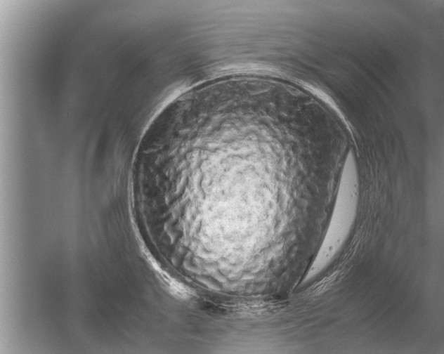 X0000052650999200507082027