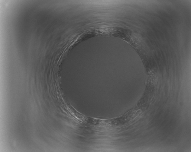 X0000052651009200507082026