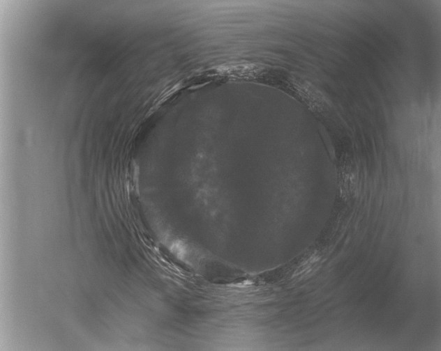 X0000052651010200507082026