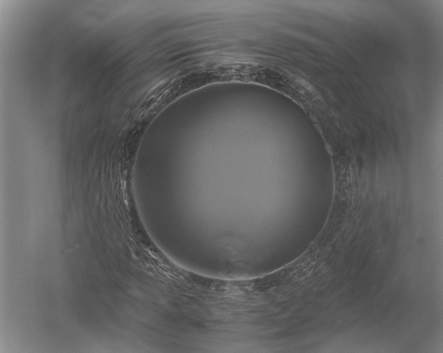 X0000052651013200507082026