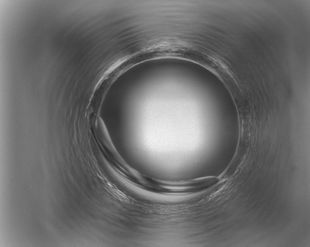 X0000052651018200507082026