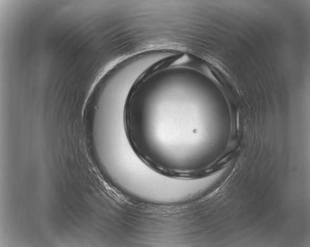 X0000052651022200507082026
