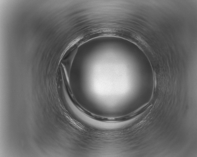 X0000052651026200507082026