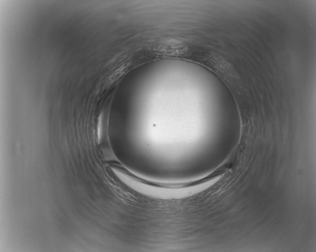 X0000052651058200507082026