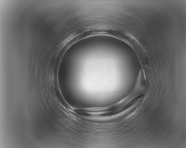 X0000052651065200507082026