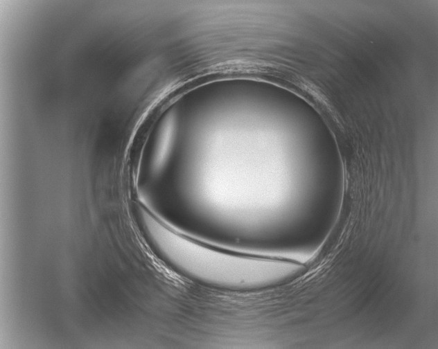 X0000052651075200507082025