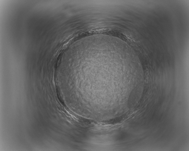 X0000052651109200507082024