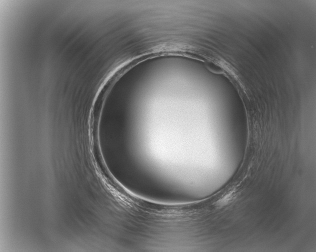 X0000052651124200507082025