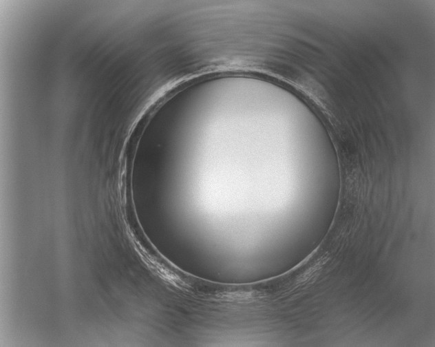 X0000052651126200507082025