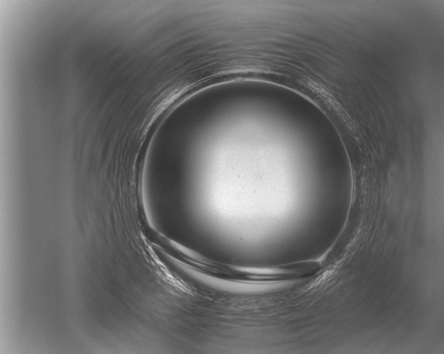 X0000052651129200507082025