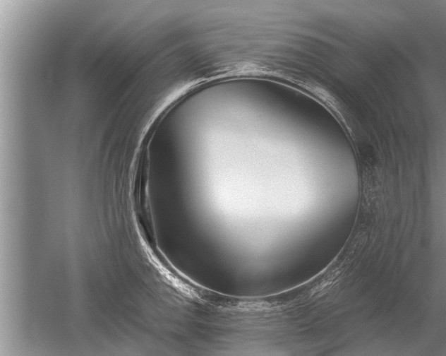 X0000052651142200507082025