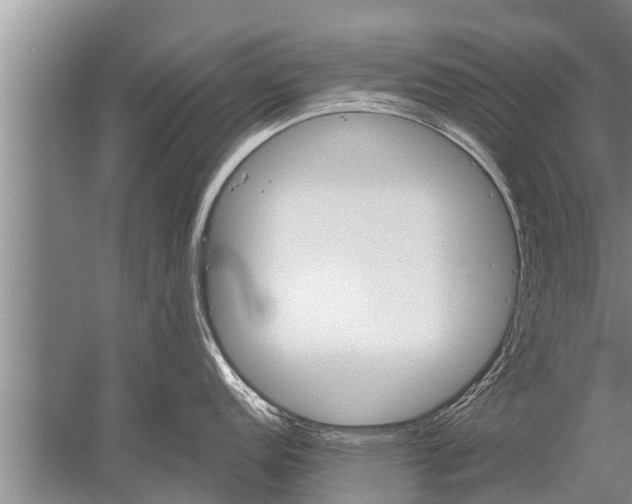 X0000052651152200507082025