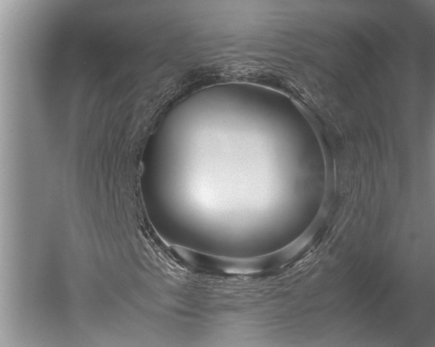 X0000052651153200507082024