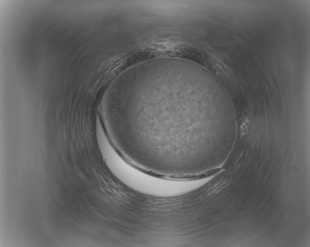 X0000052651156200507082024