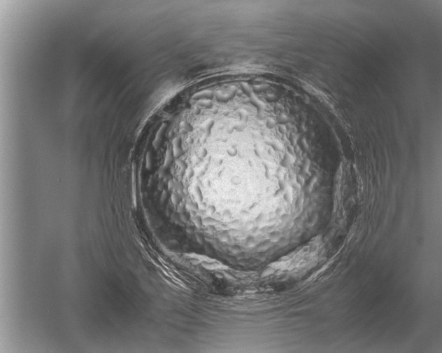 X0000052651171200507082024