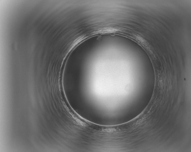 X0000052651186200507082024
