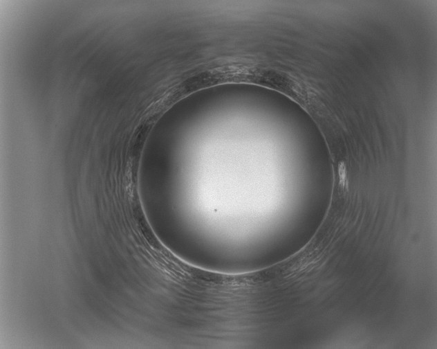 X0000052651203200507082023