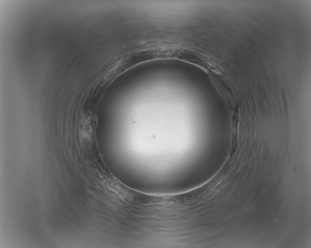 X0000052651204200507082023